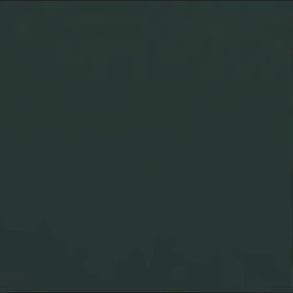 Nail Fungus Laser Treatment Device | Effective, Portable & Ideal for Home Use