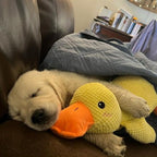 Duck Dog Durable Toy - Dog Calming Treats