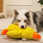 Duck Dog Durable Toy - Dog Calming Treats