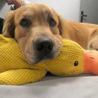 Duck Dog Durable Toy - Dog Calming Treats