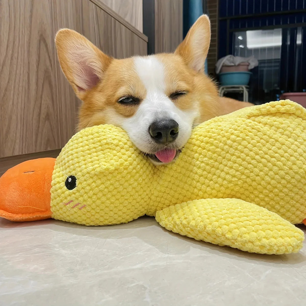 Duck Dog Durable Toy - Dog Calming Treats