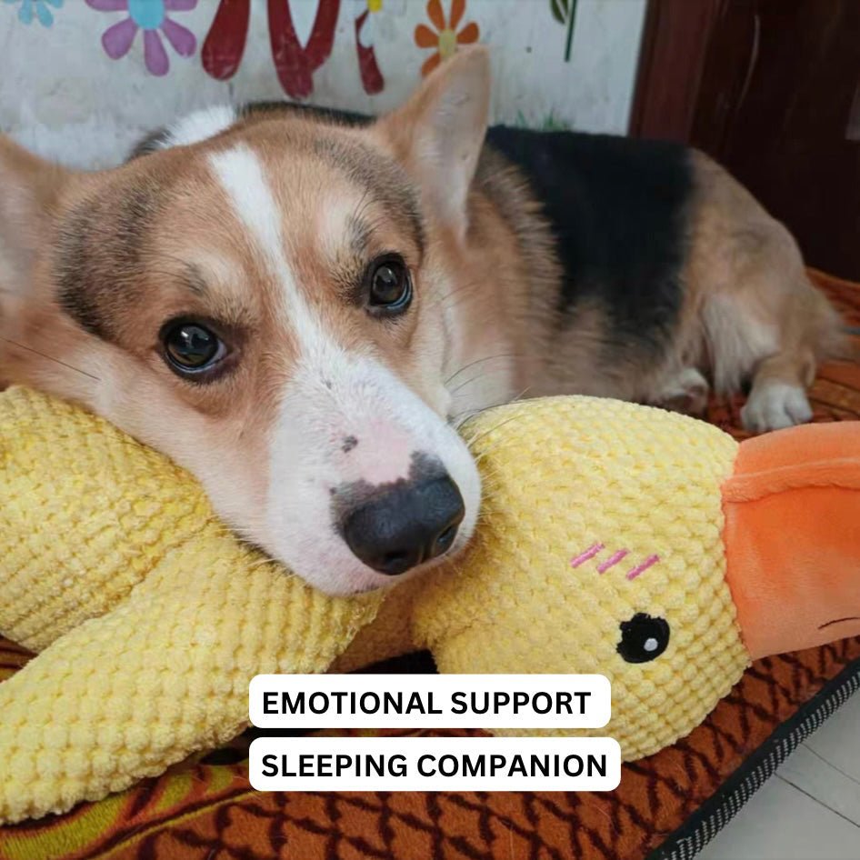 Duck Dog Durable Toy - Dog Calming Treats