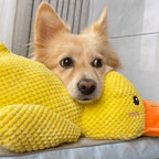 Duck Dog Durable Toy - Dog Calming Treats