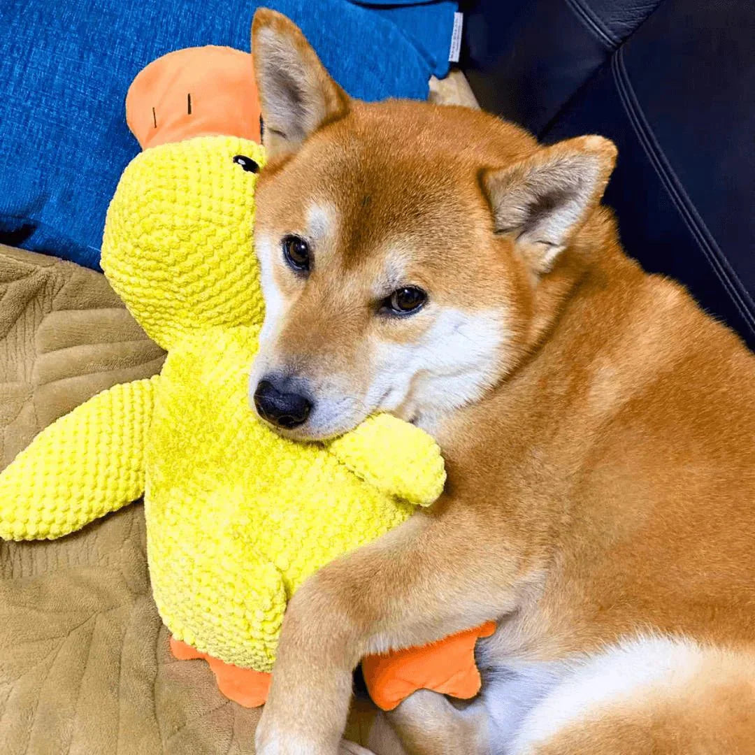 Duck Dog Durable Toy - Dog Calming Treats