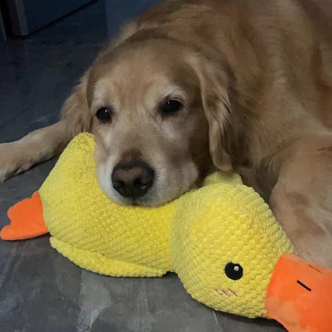 Duck Dog Durable Toy - Dog Calming Treats