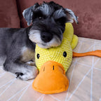Duck Dog Durable Toy - Dog Calming Treats