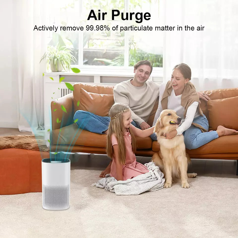 Compact Air Purifier | True HEPA Filter, Ultra-Quiet & Ideal for Small to Medium Rooms