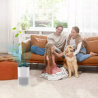 Compact Air Purifier | True HEPA Filter, Ultra-Quiet & Ideal for Small to Medium Rooms