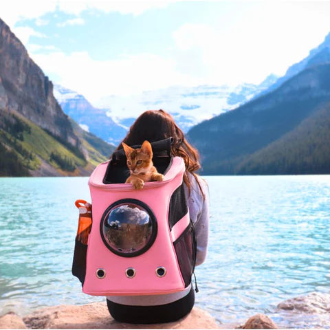 Travel Cat Backpack for Cats | Breathable, Spacious & Ideal for Hiking, Camping & Outdoor Adventures