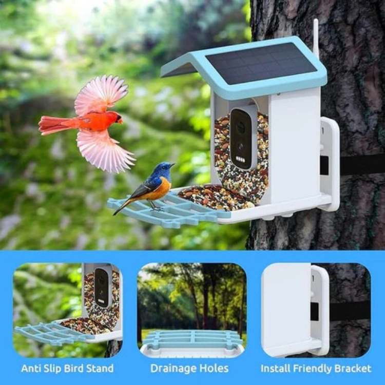 Smart Solar Bird Feeder Camera | 2.5K HD Video, Waterproof & Solar Powered for Birdwatching Anytime