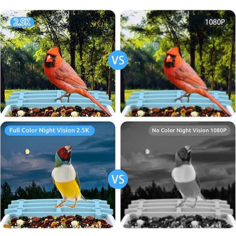 Smart Solar Bird Feeder Camera | 2.5K HD Video, Waterproof & Solar Powered for Birdwatching Anytime