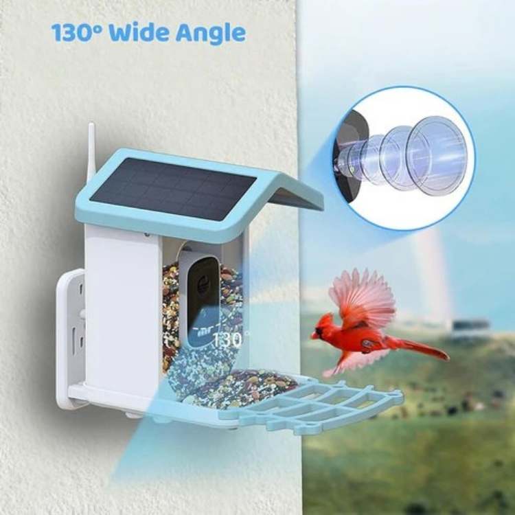 Smart Solar Bird Feeder Camera | 2.5K HD Video, Waterproof & Solar Powered for Birdwatching Anytime
