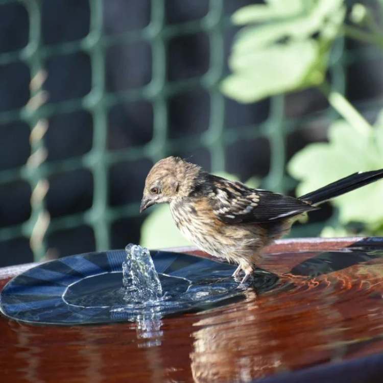 Solar-Powered Water Fountain | Effortless Installation & Multiple Spray Patterns for Garden Ponds and Birdbaths