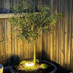 4x Solar-Powered Garden Lights for Winter | Rust-Proof, Weather-Resistant & Easy Installation for Outdoor Spaces