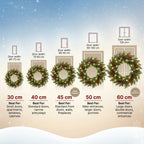 Christmas Wreaths For Front Door - Outdoor Xmas Decoration with Pinecones, Red Berries, 50 Clear LED Lights, 113 Tips, Timer