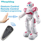 Remote Control Robot