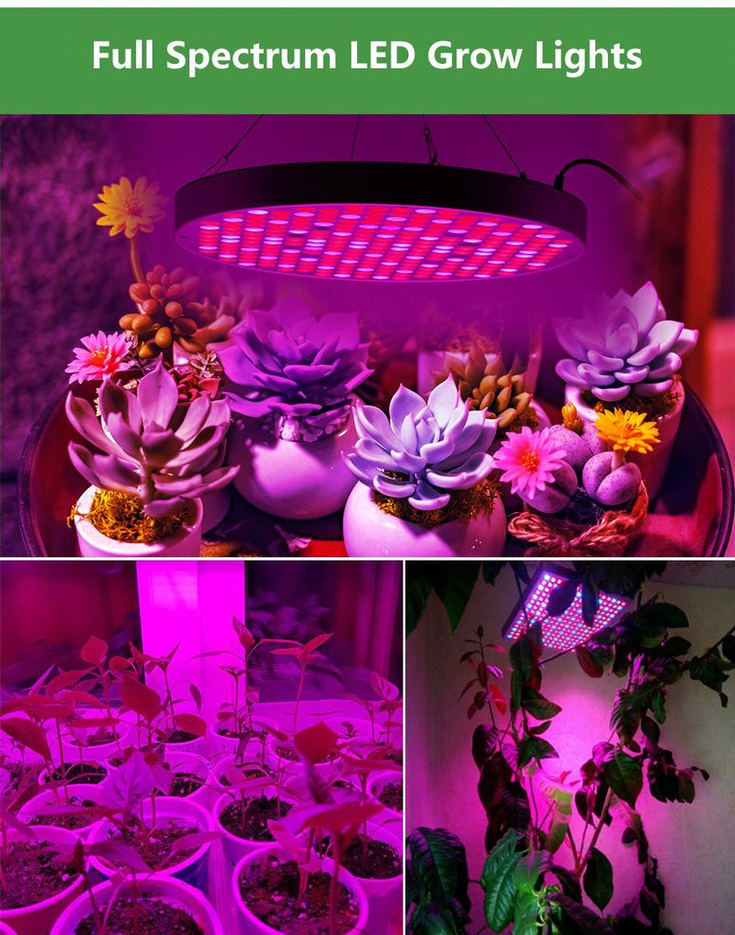Led Grow Lights - Plant Grow Light